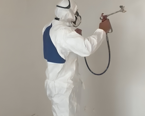 Screenshot_20240806_205310_Gallery Screenshot_20240806_205310_Gallery